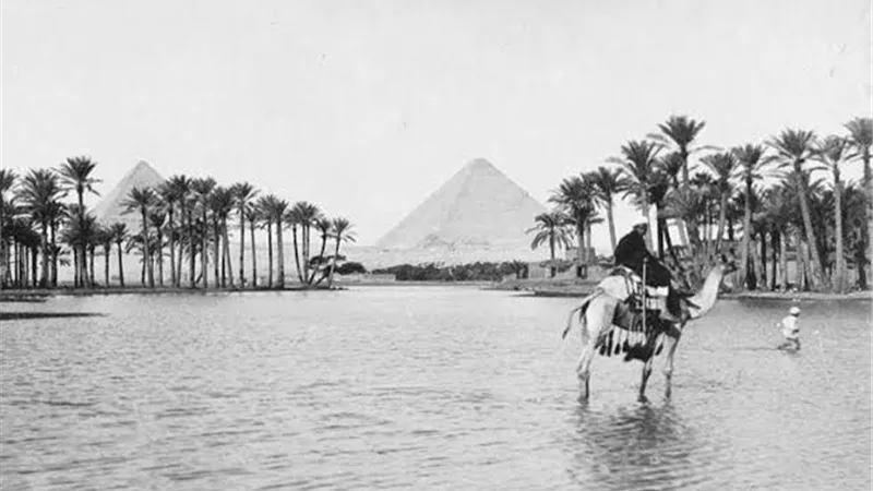 من كرومر إلى لويد.. حكاية مصر تحت الاحتلال في إصدار جديد للقومي للترجمة