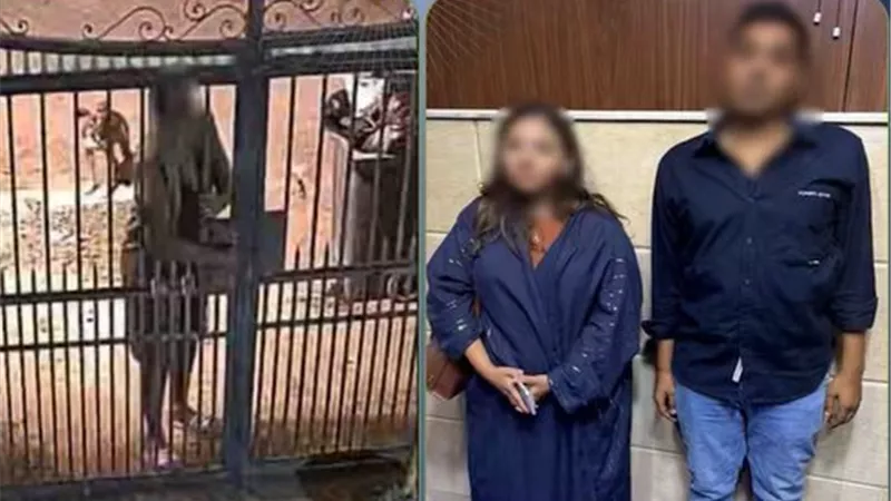 الداخلية تكشف ملابسات فيديو سيدة تتهم جارها بانتحال صفة ضابط شرطة بالمقطم