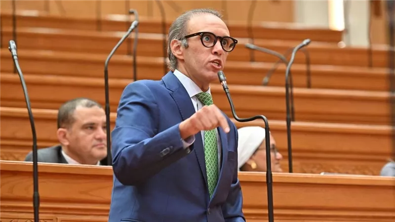 محمد فريد: إهمال الحديقة اليابانية يكشف خللًا في 