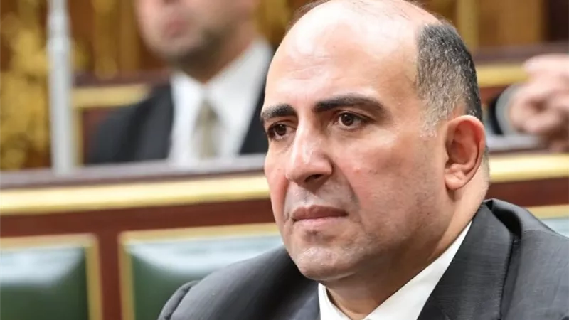 محمد سليم يطالب بضوابط واضحة ومعلنة للمصروفات والخدمات المدرسية