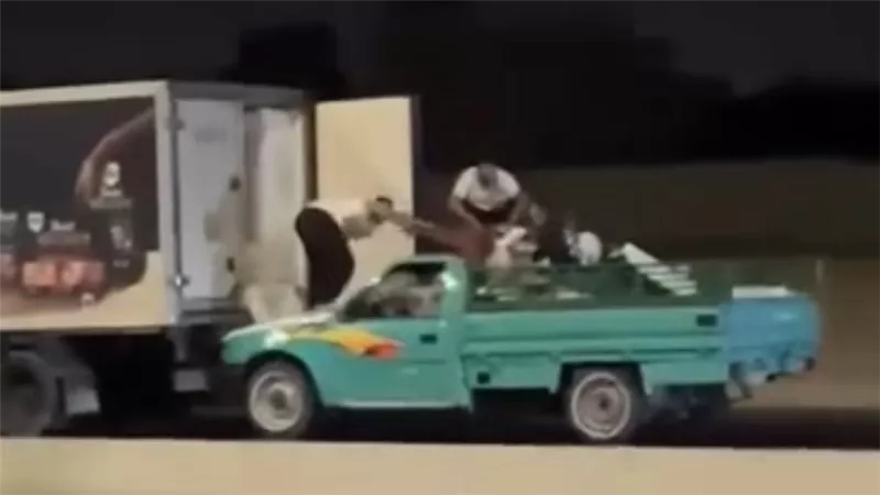 بعد مصرع جميع المتهمين.. تفاصيل سرقة 140 كيلو فراخ من سيارة مبردات بالشروق
