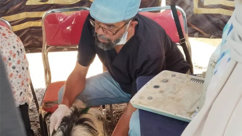 الطب البيطري بأسيوط يدعم 29 أسرة ريفية بمشروعات للإنتاج الحيواني