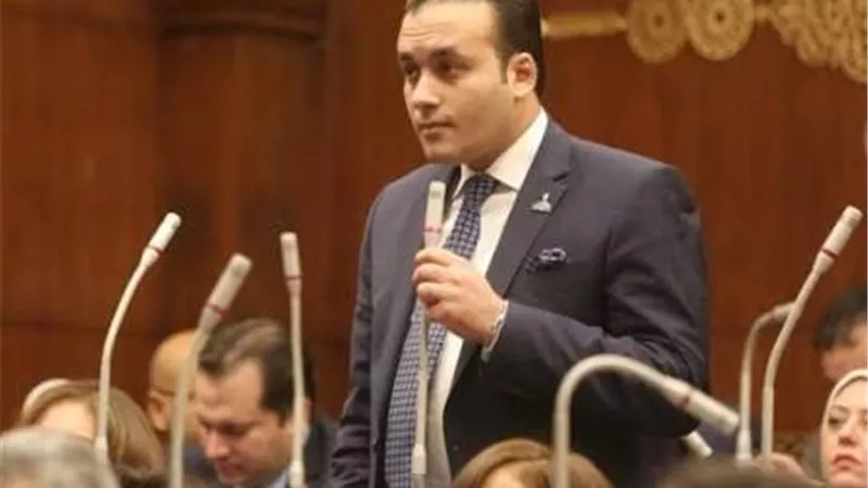 عمرو فهمي: توجيهات الرئيس بشأن الخدمات وحماية حقوق المواطنين 