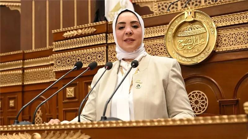 برلمانية تطالب الحكومة بترجمة توجيهات الرئيس السيسي إلى خطط تنفيذية واضحة