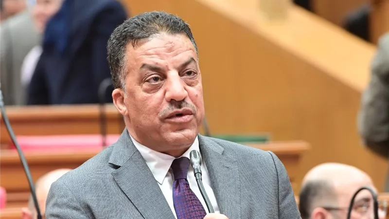 فيصل أبوعريضة: 3 محاور لتعظيم مكاسب مصر من زيارة الرئيس الصيني