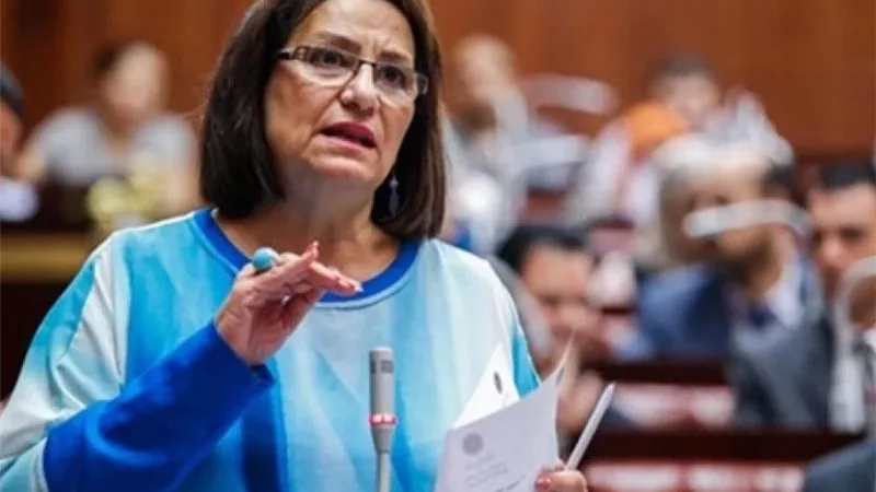 نادية هنري لـ«إيجبتك»: «مرتين حاولت إثبات مهنتي.. وهذه كانت النتيجة»