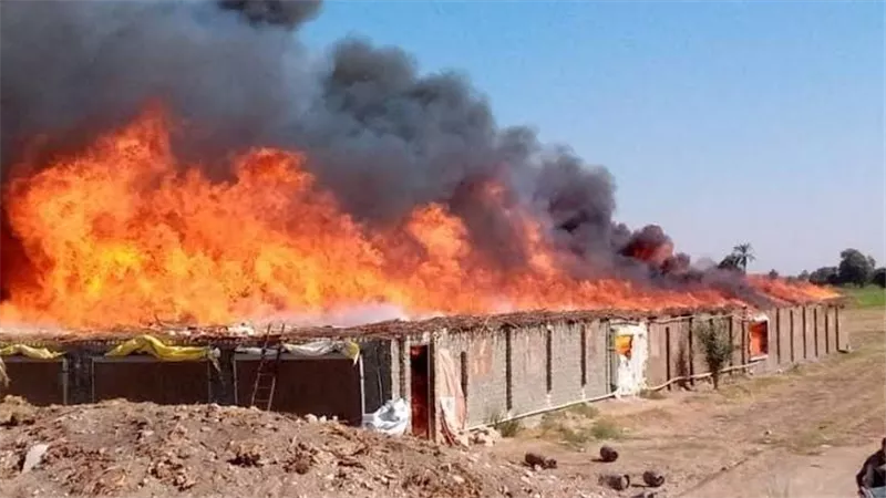حريق يلتهم مزرعة دواجن في عزبة الجمل بالمحلة
