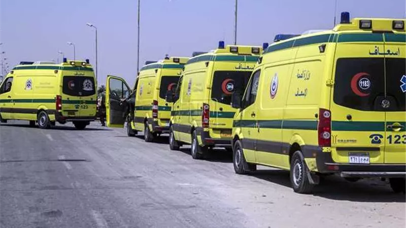 مصرع 3 أشخاص وإصابة 12 آخرين في انقلاب ميكروباص بصحراوي ملوي في المنيا
