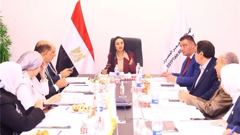 الهلال الأحمر المصري: 1.019 مليون طن مساعدات إنسانية وصلت غزة منذ 2023