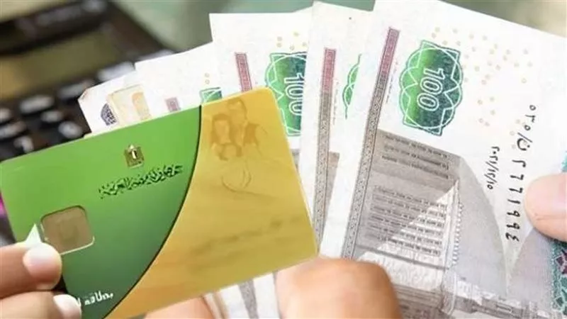السيد: الدواجن في المجمعات الاستهلاكية بسعر أقل 25%