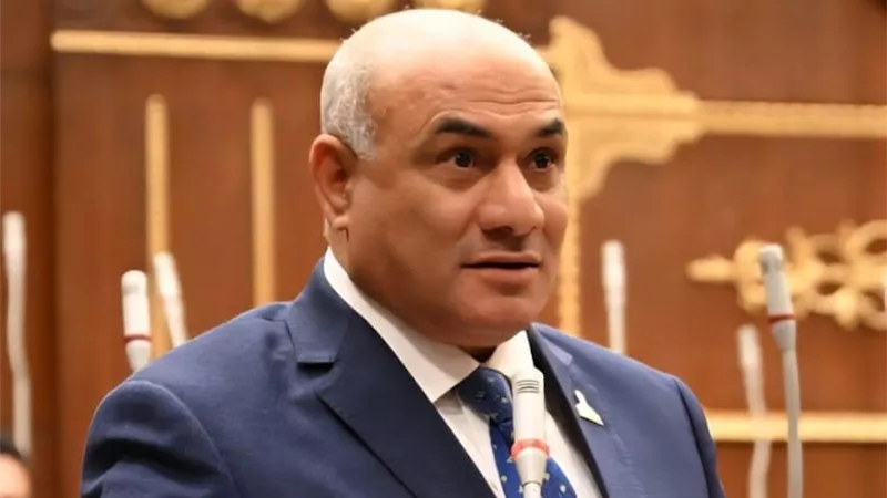 شعبان رأفت يطالب انشاء منصة إلكترونية لمتابعة تصدير المنتجات المصرية