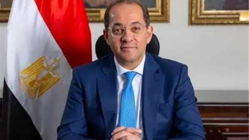 المالية: تبسيط إجراءات «أبلكيشن الضرائب العقارية» وإتاحة السداد إلكترونيًا