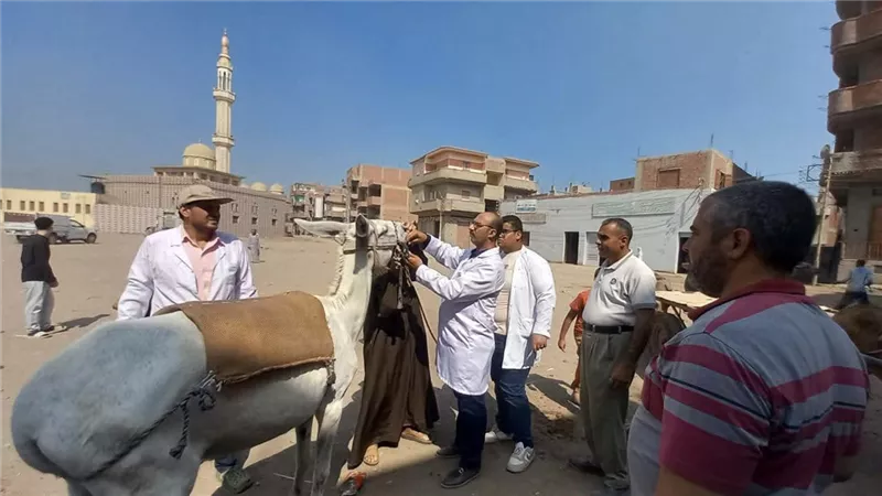محافظ الدقهلية يتابع انتظام الخبز المدعم والقافلة البيطرية بالسنبلاوين