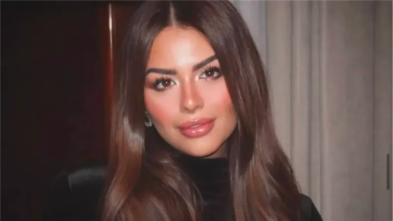هنادي مهنا تشارك هشام ماجد بطولة 17 متر في رمضان 2027