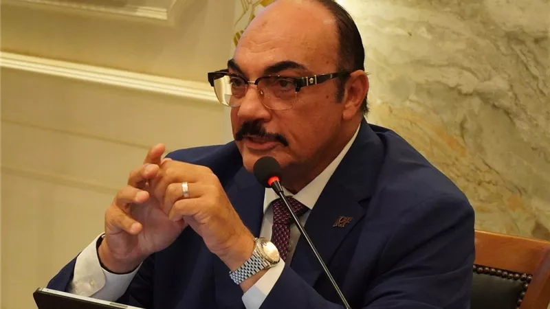 رضا فرحات يدعو لعودة المجالس المحلية: تأهيل القيادات ضرورة 