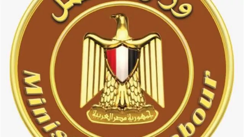 وزارة العمل تحذر الشباب من صفحات وفيديوهات وهمية تروج للسفر إلى إيطاليا