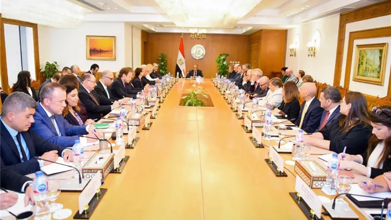 وزير الخارجية يلتقي سفراء دول الاتحاد الأوروبي في مصر