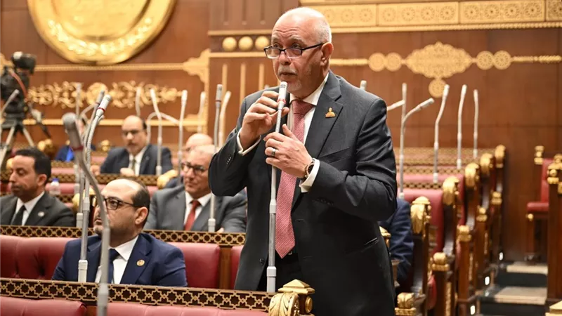 الجندي: زيارة محمد بن سلمان تؤسس لمرحلة جديدة من العمل العربي المشترك