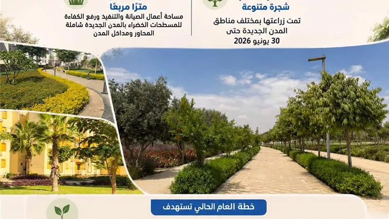 «الإسكان» تزرع 1.9 مليون شجرة بالمدن الجديدة ضمن مبادرة «100 مليون شجرة»
