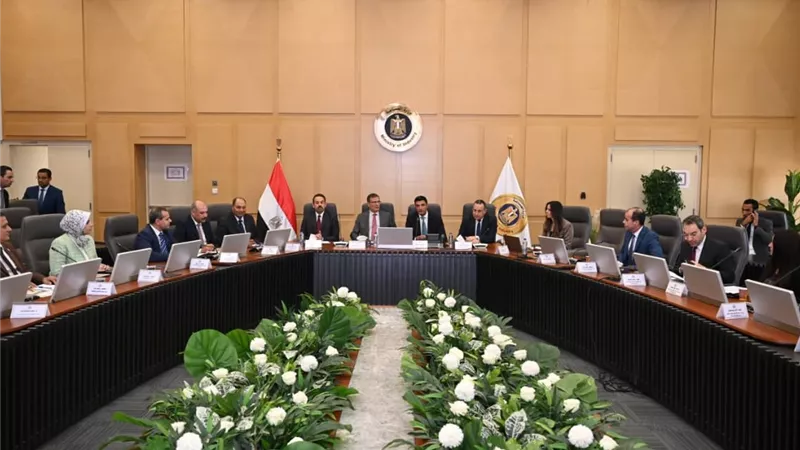 وزراء الصناعة والزراعة والتعليم العالي يبحثون تطوير منظومة الكتان