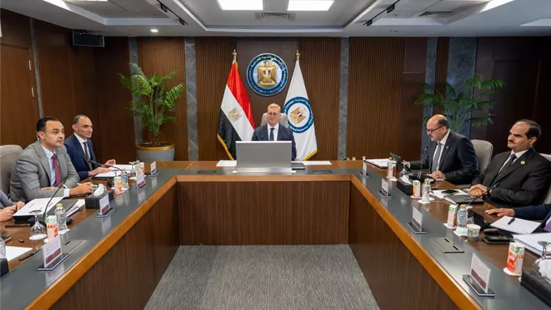 وزير البترول يوجه بوضع خطة خمسية لصناعة البتروكيماويات 