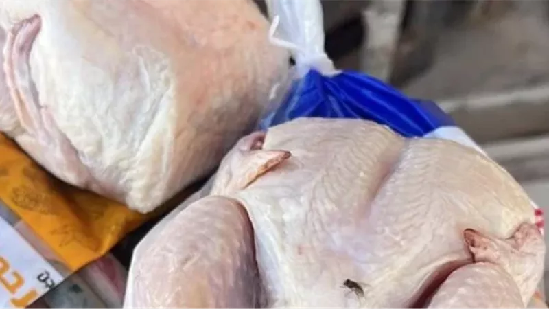 ضبط 6 أطنان دواجن غير صالحة للاستهلاك الآدمى داخل ثلاجة غير مرخصة بالقليوب