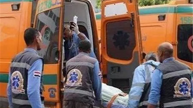 إصابة 12 شخصا إثر انقلاب ميكروباص أعلي محور منفلوط الصحراوي الغربي أسيوط