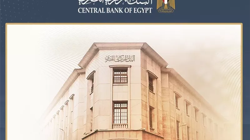 تحويلات المصريين بالخارج تقفز 28.1% إلى 29.7 مليار دولار في 7 أشهر