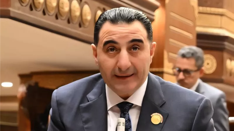السعيد غنيم: «وثيقة الهوية الوطنية» خطوة لصياغة رؤية جديدة لمصر