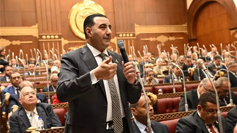 قيادي بالمؤتمر: «وثيقة الهوية الوطنية» خطوة لصياغة رؤية جديدة لمصر