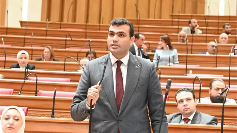 هريدي يطالب بكشف عقود استيراد الغاز ونسبة المشتريات من السوق الفورية