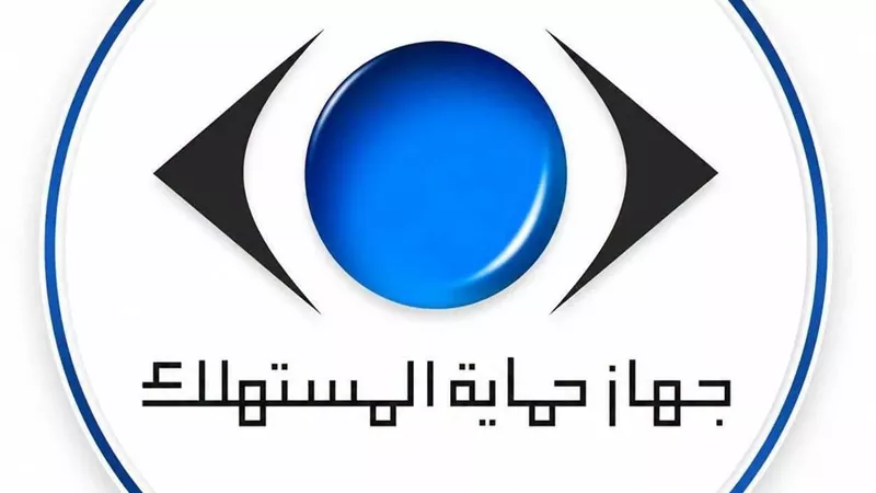 ضبط 3 أشخاص بتهمة انتحال صفة مأموري الضبط القضائي بجهاز حماية المستهلك 