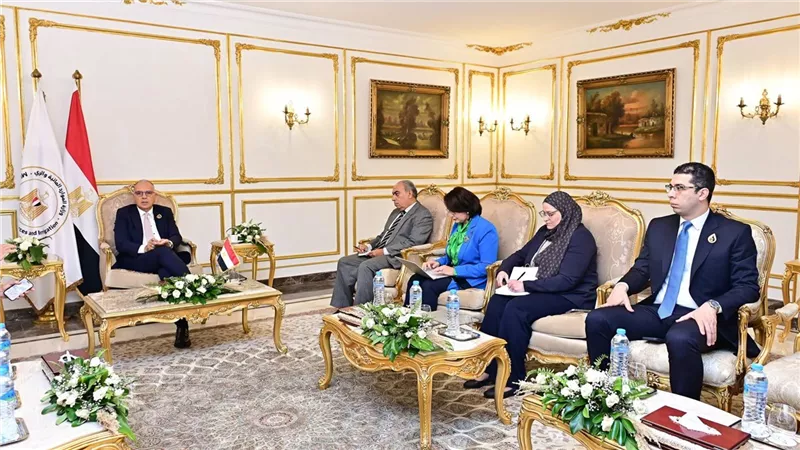 مصر واليابان تتشاركان في الرئاسة المشتركة للحوار التفاعلي «المياه من أجل الكوكب»