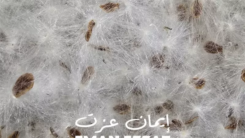 افتتاح معرض 
