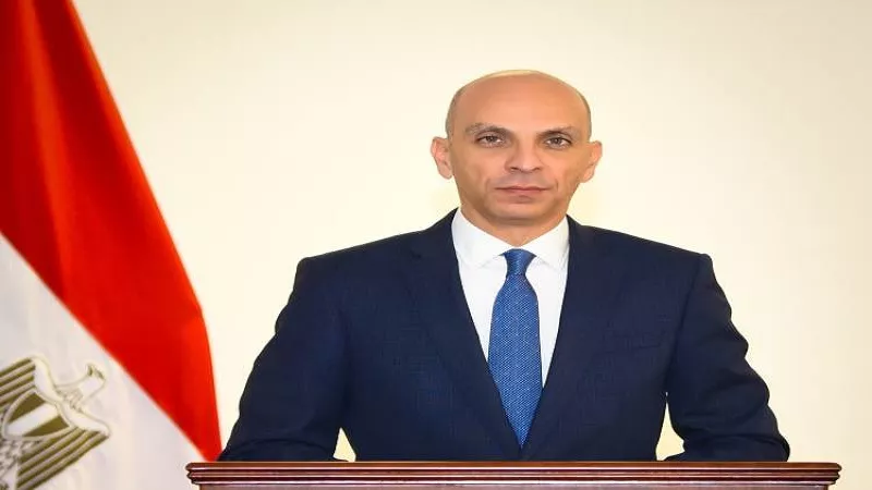 الخارجية: الرؤية المصرية أثبتت صوابها والدبلوماسية هي الحل الوحيد لإنهاء النزاعات| فيديو