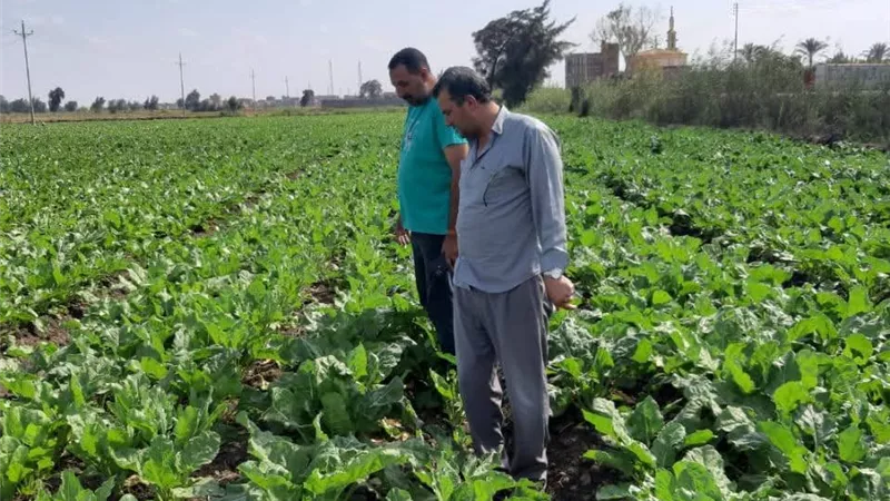 وكيل زراعة كفرالشيخ يتابع عملية صرف الأسمده والتصدي للتعديات بالبناء على الأراضي الزراعية 