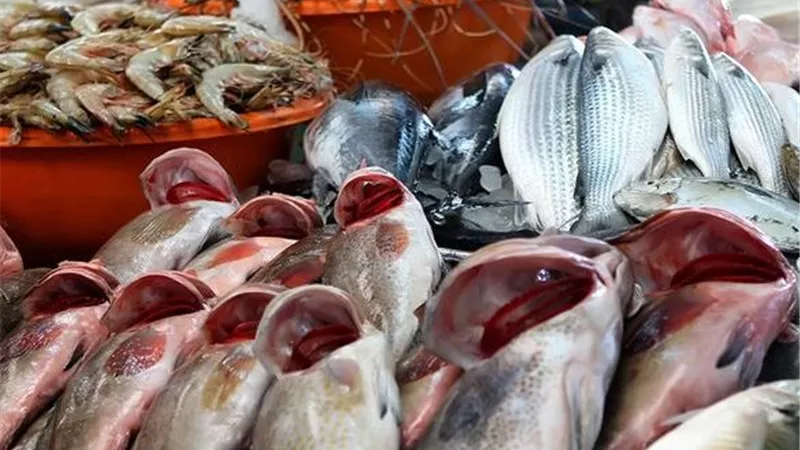  أسعار الأسماك اليوم في بمحافظة المنوفية .. البلطي يتصدر والجمبري يستقر