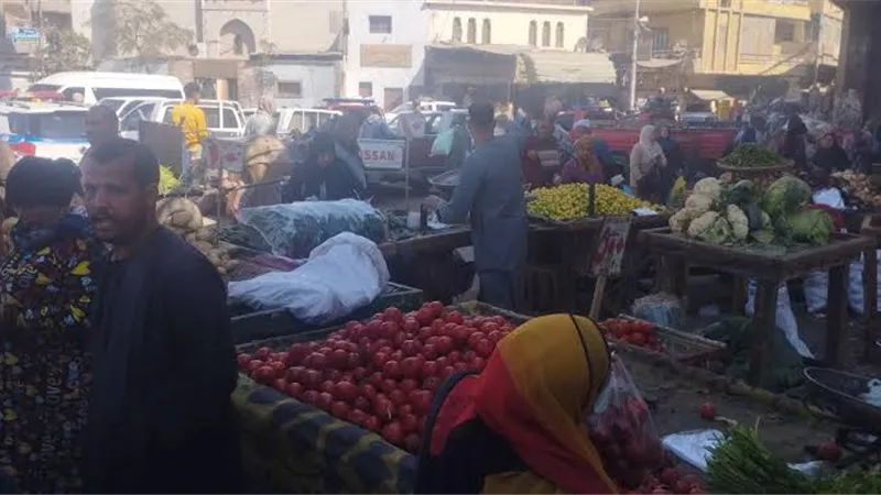 استقرار أسعار الخضروات في أسواق المنيا رغم انتهاء موسم العروات الصيفية