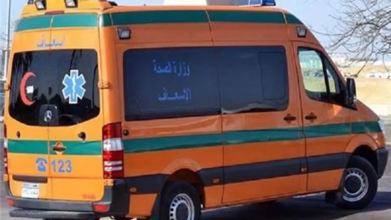 اختناق 3 أشقاء صغار داخل بانيو منزلهم في المنوفية 