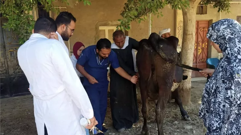 جامعة المنيا تطلق قافلة بيطرية بقرية 