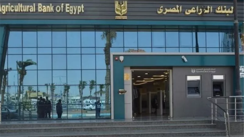 شروط وطريقة التقديم على وظائف البنك الزراعي 2025 لحديثي التخرج