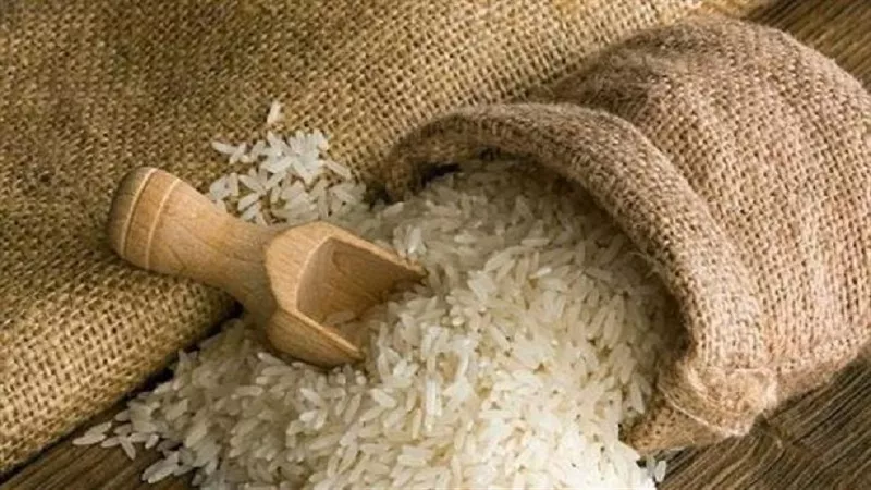 أسعار الأرز والشعير الأبيض اليوم الإثنين 20-10-2025 في أسواق الشرقية 
