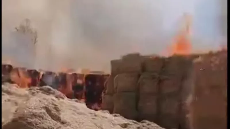 حريق يلتهم شونة لتجميع قش الأرز بقرية الكراكات في كفر الشيخ 
