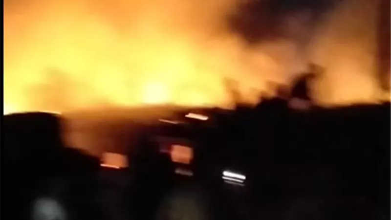 نفوق آلاف الدواجن وتلف 12 طن أعلاف في حريق مزرعة بالحسينية بالشرقية |صور