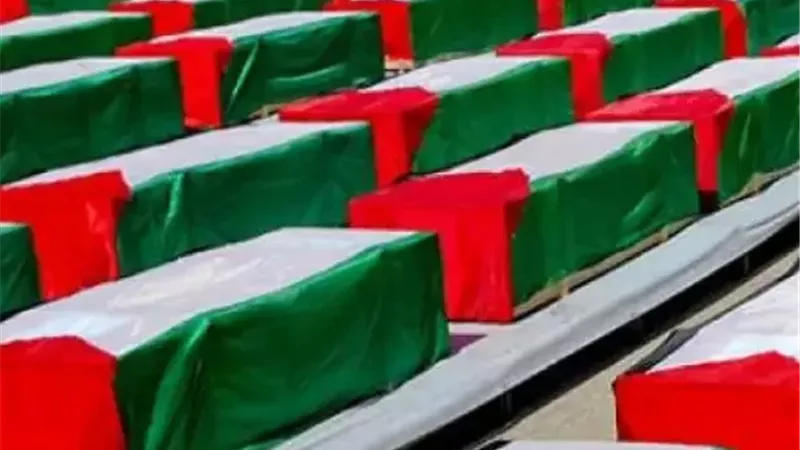 تقرير: الاحتلال الإسرائيلي يحتجز جثامين 735 شهيدا