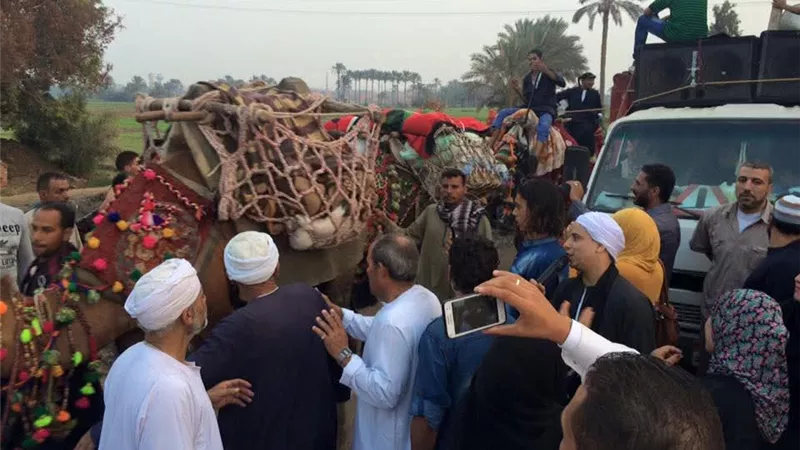 عمره 800 سنة.. ركب السيد البدوي ينطلق من القليوبية في موكب روحي ويجوب 3 محافظات |صور