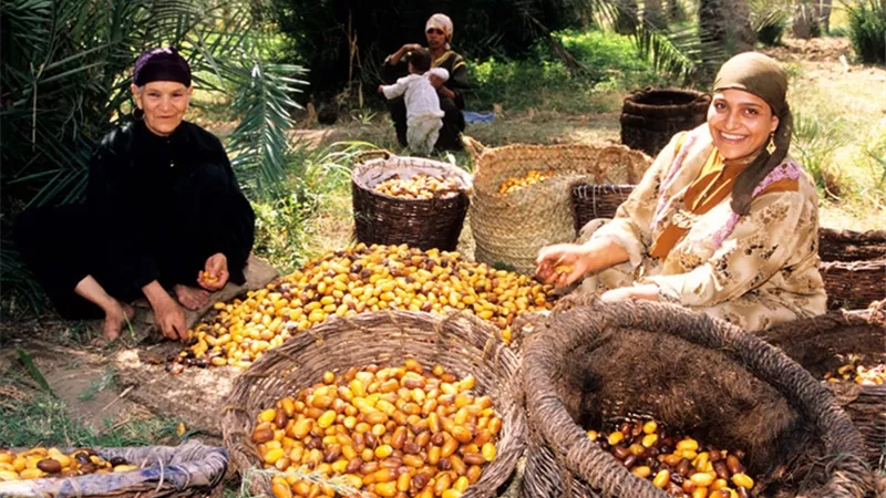 نورة وأخواتها .. ثورة تصحيح نسائية في سوق العمل| تقرير