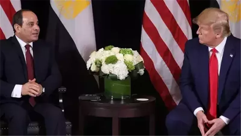 خبير سياسي من أمريكا لـ«إيجبتكِ»: الدبلوماسية المصرية مدرسة في الحكمة والذكاء