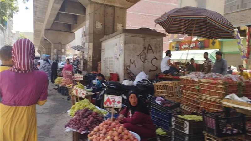 أسعار الخضروات اليوم في مراكز محافظة المنيا 