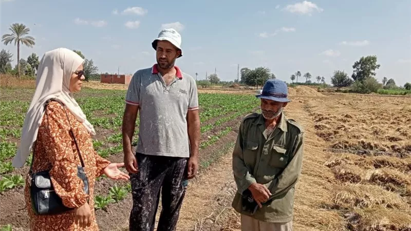 حبس وغرامة.. شئون البيئة بالشرقية ينظم 1269 نشاط توعوى بخطورة حرق المخلفات الزراعية | صور
